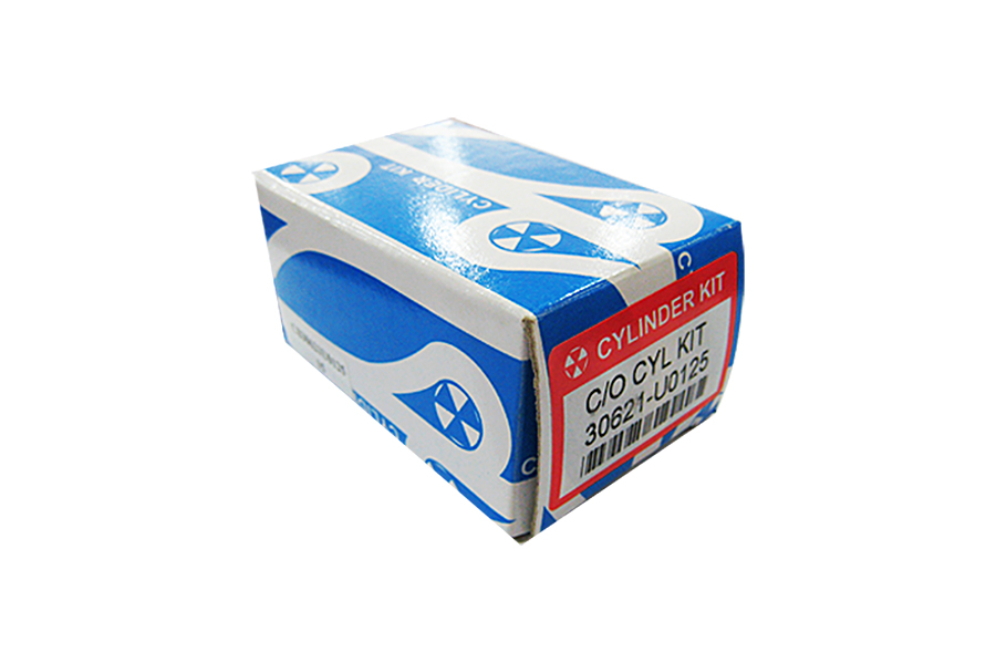 C/O KIT 30621-U0125 (3/4 C/O KIT 30621-U0125 (3/4